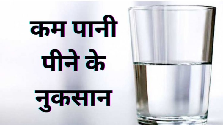 यदि आप भी नहीं पीते ज्यादा पानी तो हो जाओ सावधान, भविष्य में हो सकती है ये बीमारी