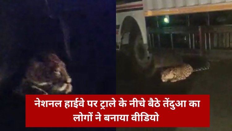 Khargone News : नेशनल हाईवे पर ट्राले के नीचे बैठे तेंदुआ का लोगों ने बनाया वीडियो, अब Social Media में Viral