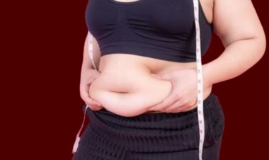 Diet for reduce belly fat way essey | Simple diet to reduce belly fat