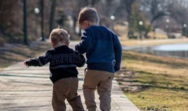 National Brother's Day 2024 : ब्रदर्स डे सेलिब्रेट व्हाट्सएप स्टेटस और विश मैसेज | Brothers Day WhatsApp Status and Wishes Messages