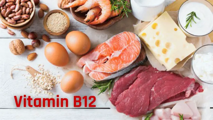 Well Health tips in hindi : क्यों जरूरी है शरीर के लिए Vitamin B12? , जनिए B12 कमी के लक्षण एवं पूर्ति के उपायें