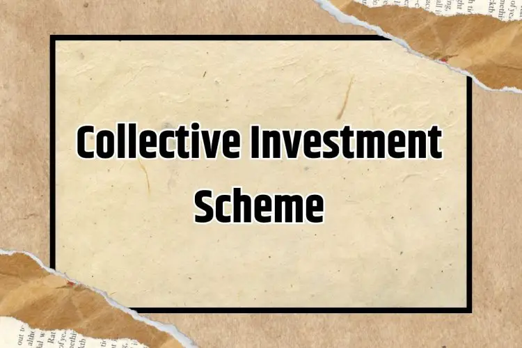What is Collective Investment Scheme (CIS)? Definition, Features