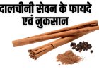 दालचीनी: दालचीनी सेवन के फायदे और नुकसान (Dalchini Ke Fayde Aur Nuksan in Hindi)