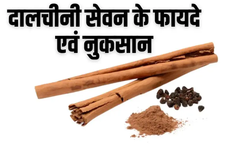 दालचीनी: दालचीनी सेवन के फायदे और नुकसान (Dalchini Ke Fayde Aur Nuksan in Hindi)