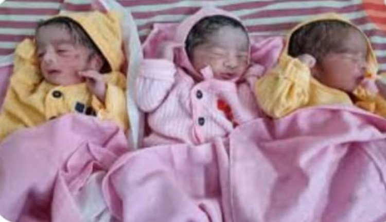 Singrauli News: एक महिला ने दिया तीन नवजात शिशुओं जन्म,जच्चा बच्चा चारो स्वस्थ