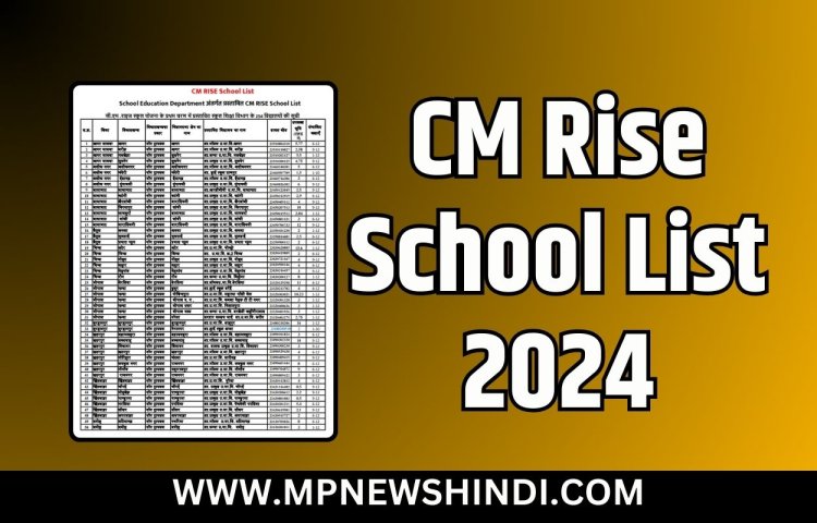 CM Rise School List 2024