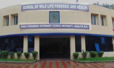 वेटरनरी यूनिवर्सिटी जबलपुर ने 40 छात्रों के प्रमाण पत्र किये रद्द
