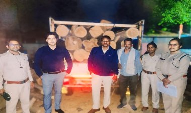 जय श्री टिंबर में वन विभाग ने पकड़ा अवैध सागौन की लकड़ी, टिंबर संचालक पर प्रकरण दर्ज