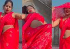 Desi Bhabhi Sexy Video: पिंक साड़ी में देशी भाभी ने दिखाया जलवा, हर कोई वीडियो कर रहा शेयर