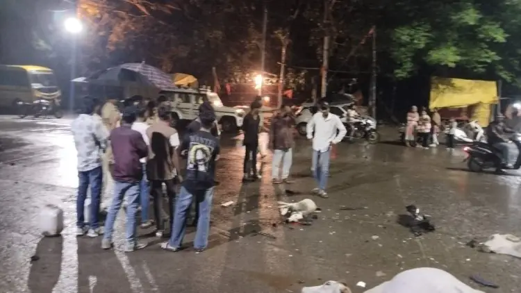 5 गौवंश को तेज रफ्तार कार ने मारी टक्कर, गौवंश की हुई मौत, CCTV आया सामने