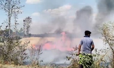 Seoni News : सिवनी में आग ने ली किसानों की कड़ी मेहनत की परीक्षा, कई एकड़ गेहूं जलकर राख